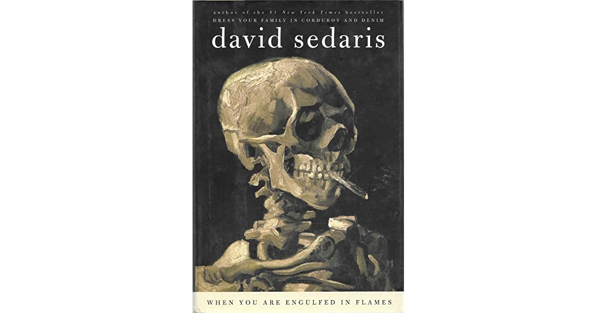 Resensi Buku When You Are Engulfed in Flames oleh David Sedaris